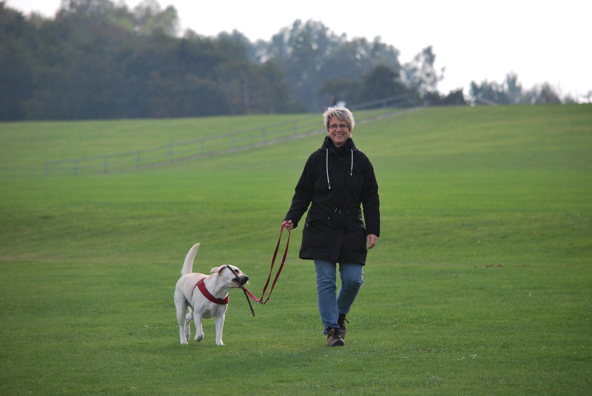 Does Pain Keep You From Walking?